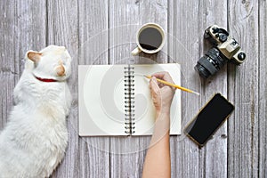 Still life, business or traveler memo concept, Top view image of open notebook with vintage camera coffee smartphone and cat