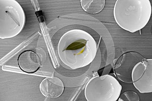 Still-life of a chemical laboratory flasks and test tubes