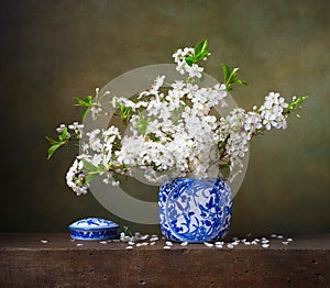 Still life with of cherry blossoms in a chinese vase