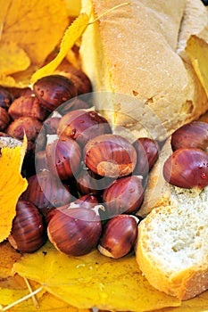 Still life with chestnuts and bread