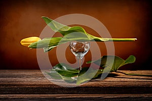 Still life of a closed yellow tulip placed on a wine goblet engraved on a barn wood table in front of an orange backdrop