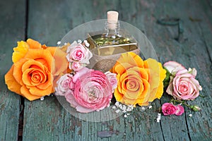 Still life with colorful roses and a gift