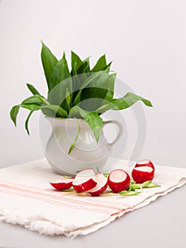 Still life composition with bear's garlic (Allium Ursinum) and radishes