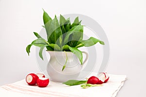 Still life composition with bear's garlic (Allium Ursinum) and radishes