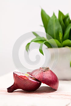 Still life composition with bear's garlic (Allium Ursinum) and sliced onion