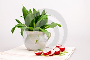 Still life composition with bear's garlic (Allium Ursinum) and sliced radishes