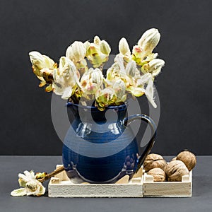 Still life composition with chestnut buds, flowers and small leaves in a blue ceramic pot and walnuts