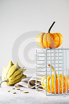Still life composition with colorful decorative mini pumpkins and pumpkin seeds. Mini orange pumpkins, holiday decoration