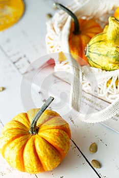 Still life composition with colorful decorative mini pumpkins and pumpkin seeds. Mini orange pumpkins, holiday decoration