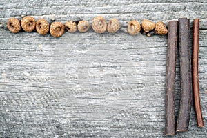 Still life composition/ frame with tiny acorns on an old wooden surface