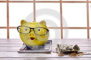 Still life composition of piggy bank with calculator and cash.