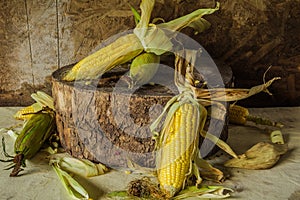 Still life with corn