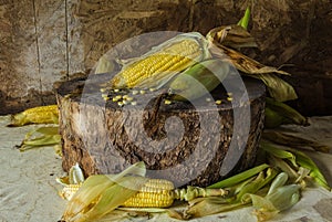 Still life with corn