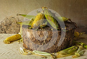 Still life with corn