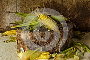 Still life with corn