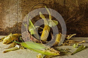 Still life with corn