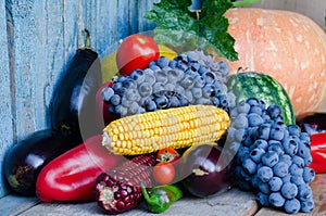 Still life of corn, grapes, eggplant, pumpkins and peppers on the old background