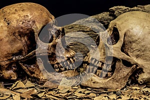 Still life couple human skull art abstract background