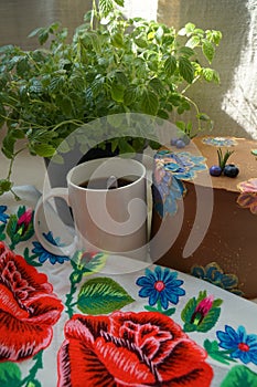 Still life of a cup of coffee, a chocolate torus and a Chinese plant jiaogulan