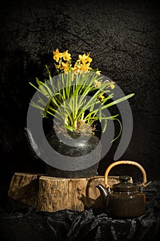 Still life with daffodils and teapot