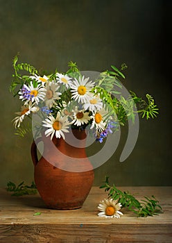 Still life with daisies photo