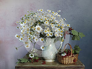 Still life with daisies on a multicolored background.Meadow flowers in a bouquet