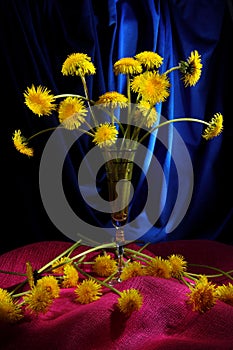 Still life with dandelions