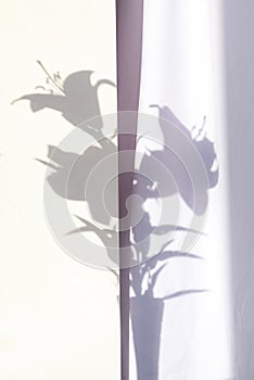 Still life of a dark shadows on white fabric on wall from bouquet of lily flowers in a glass vase. Place for text or advertising