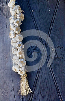 Still life detail of a string of garlic.