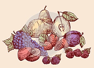 Still-life of the drawn fruit. All objects isolated