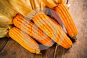 Still life of dried corn