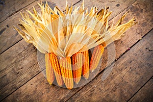 Still life of dried corn