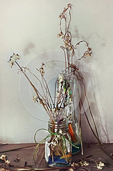 Still life with dry flowers in a glass vase