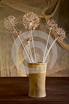 Still-life with dry flowers in vase