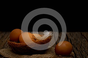 Still life-Eggs on nest arranged in a black scene, Food concept.