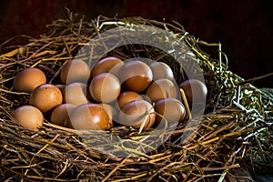 Still life eggs in straw on wood