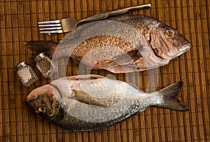 Still life with fish and cutlery