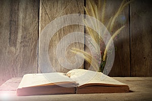 Still life flower foxtail weed and old book in morning light on wood background