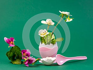 Still life with flower growing out of an eggshell