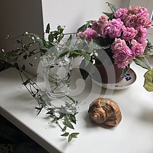 Still life with flowers of violets in a pot and with a shell on the window, for illustrations on the theme of the interior