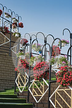 Still life fragments of the landscape design of the flower alley with an elegant girl. Travel among floral arrangements