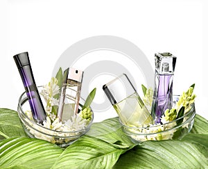 Still life of fragrances