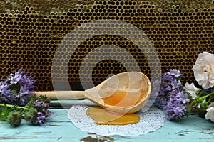 Still life with frame of natural honey comb, dipper and flowers