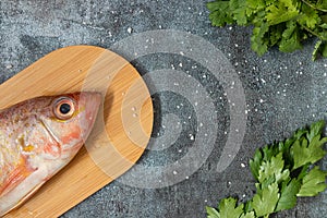 Still life with fresh fish and ingredients for cooking photo