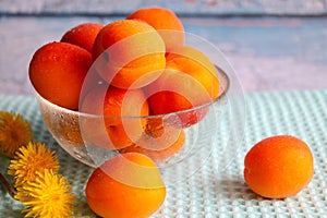 Still life with fresh, ripe apricots and dandelions on a blue wooden background. Bright, juicy summer fruits in a transparent vase