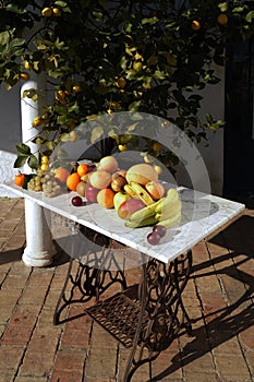 Still life of fruit with sunlight outside, photo