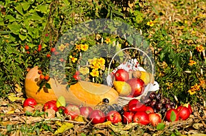 Still life of fruit and vegetables