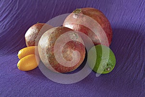 Still life of fruits