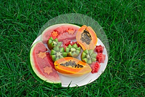 Still life. Fruits in a plate on the grass. Kiwi, watermelon, papaya.