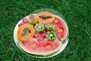 Still life. Fruits in a plate on the grass. Kiwi, watermelon, papaya.